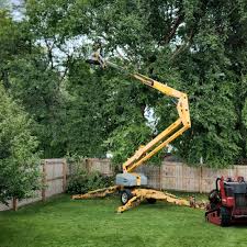 Best Organic Lawn Care Solutions  in Thorp, WI