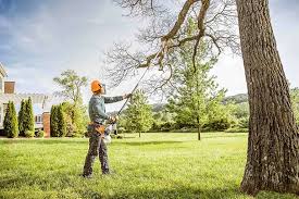 Best Firewood Processing and Delivery  in Thorp, WI