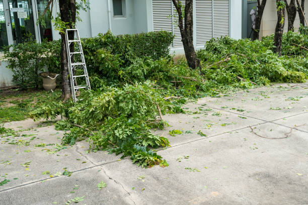 Best Seasonal Cleanup (Spring/Fall)  in Thorp, WI